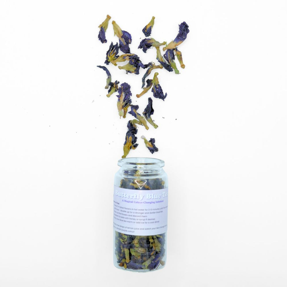 Butterfly Blue Pea Flower in Glass Jar Loose Leaf Tea Tempo Tea Bar 