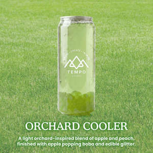Tempo Tea Bar Bubble Tea SPECIAL: Limited Edition: Summer Games Mixed Bubble Tea Cans (6 x 500ml)